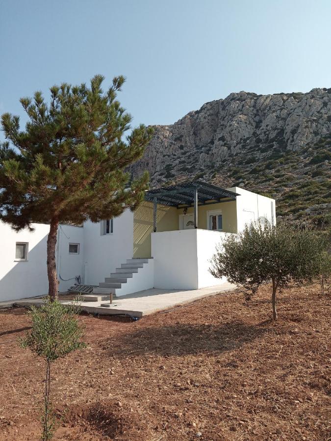 Albatros Studios & Apartments Lefkos  Eksteriør bilde