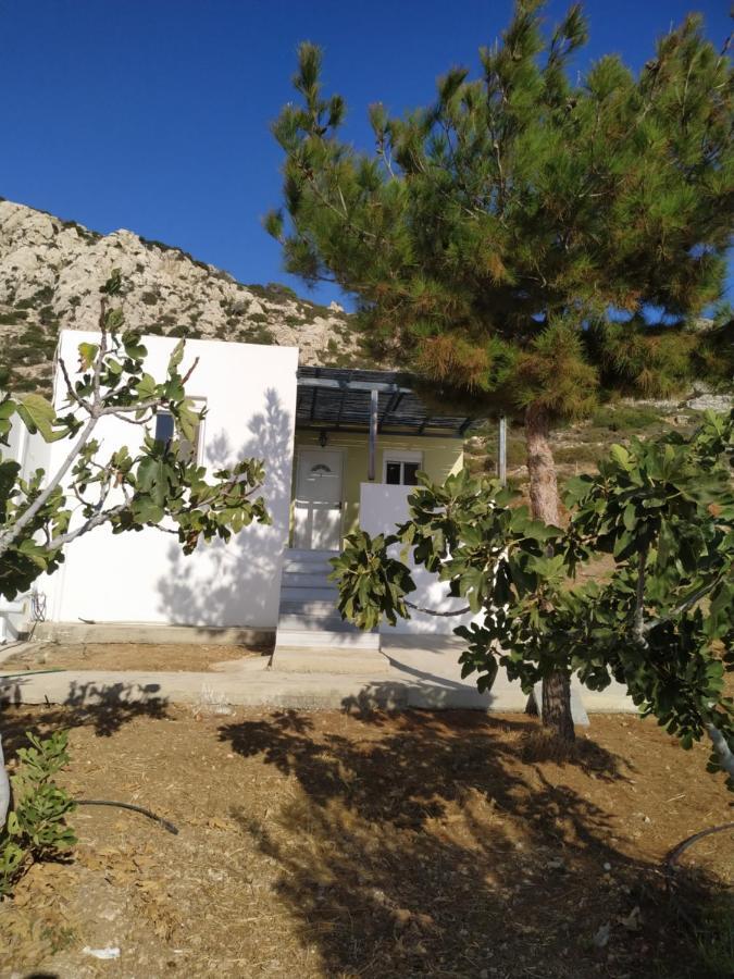 Albatros Studios & Apartments Lefkos  Eksteriør bilde